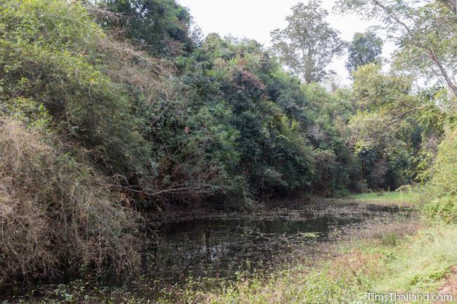 southern part of moat around Ku Sampan Ka Khmer ruin