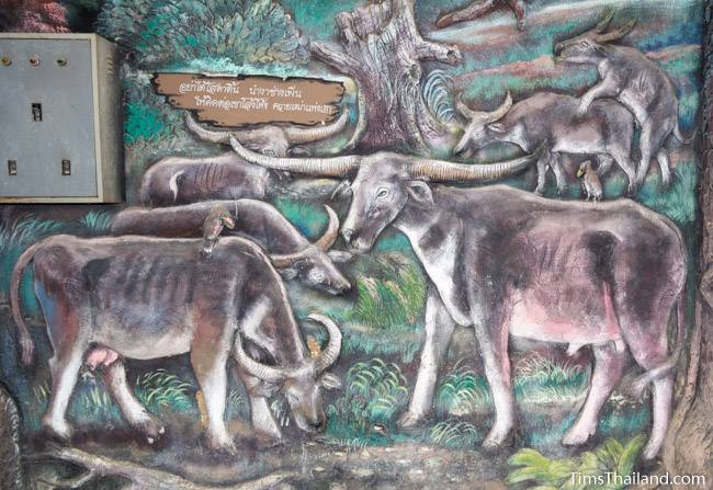 picture of herd of buffalo on Wat Pho Nontan meditation hall