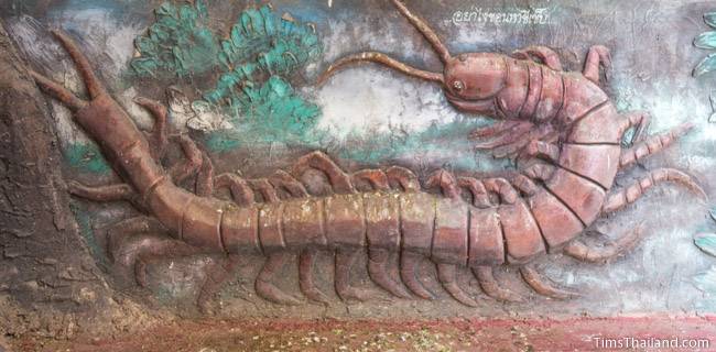 picture of centipede on Wat Pho Nontan meditation hall