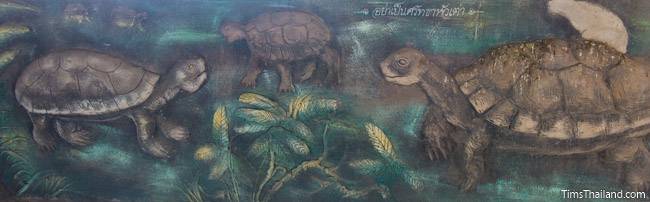 picture of turtles on Wat Pho Nontan meditation hall