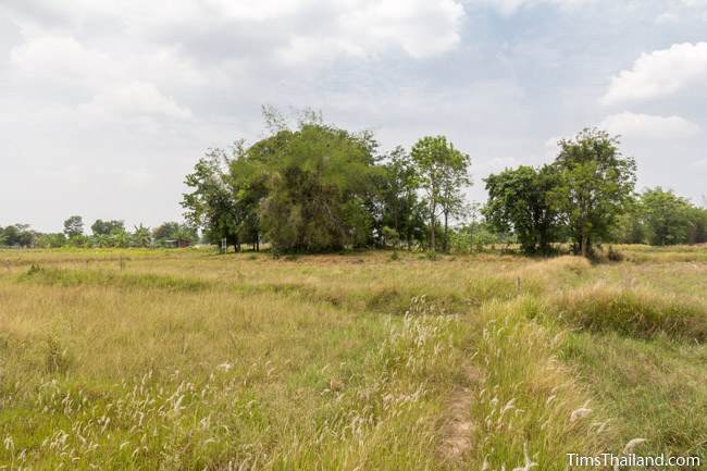 grove for Sop Namman Khmer ruin