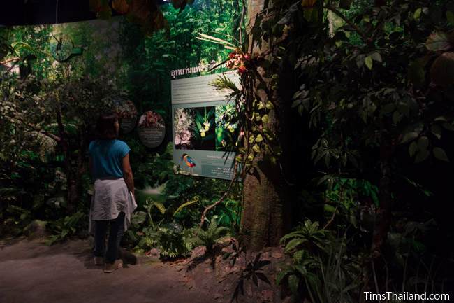 mock forest in Narathiwat City Museum