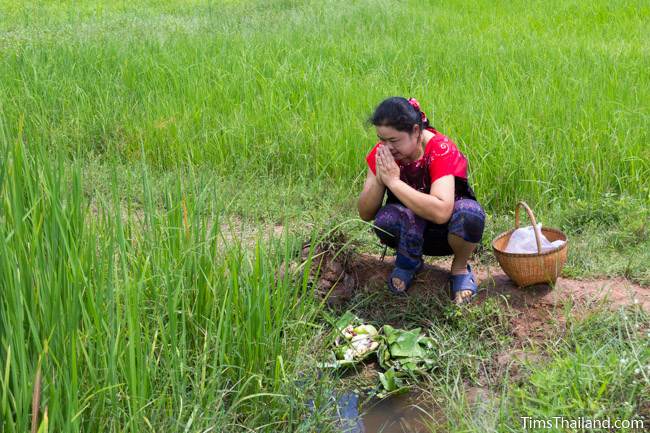 woman in rice field making food offering to spirits