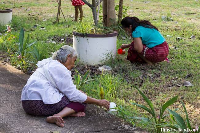 women pouring water on plants during Boon Khao Pradap Din