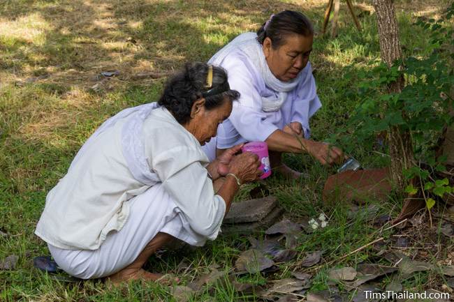 women pouring water on plants during Boon Khao Pradap Din