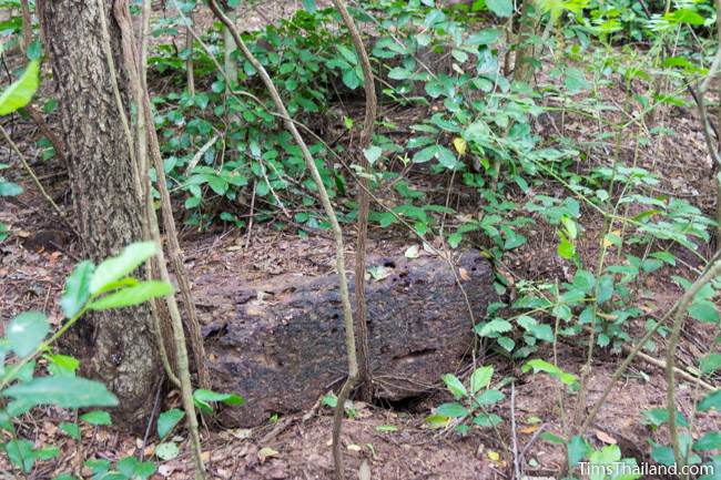 laterite block at Prasat Nong Phak Rai Khmer ruin