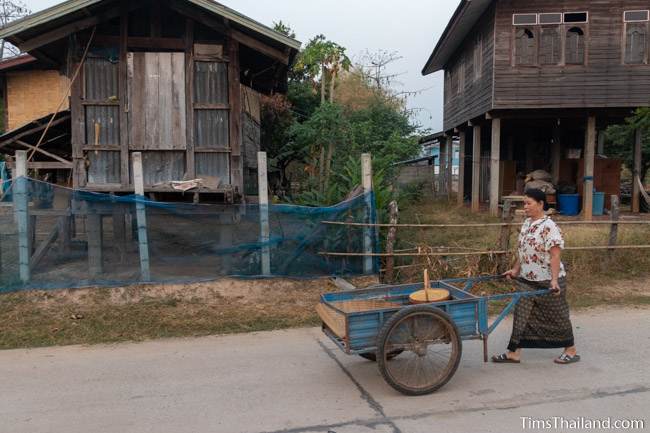 taking things through the village on a cart to celebrate Boon Berk Bahn