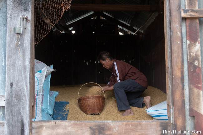 getting rice out of a silo for Boon Berk Bahn