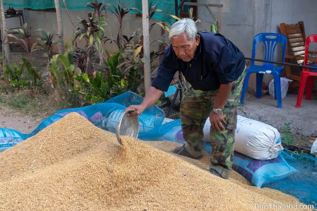 making rice pile at Boon Berk Bahn