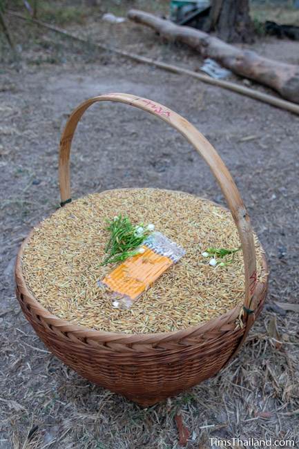 basket of rice for Boon Berk Bahn