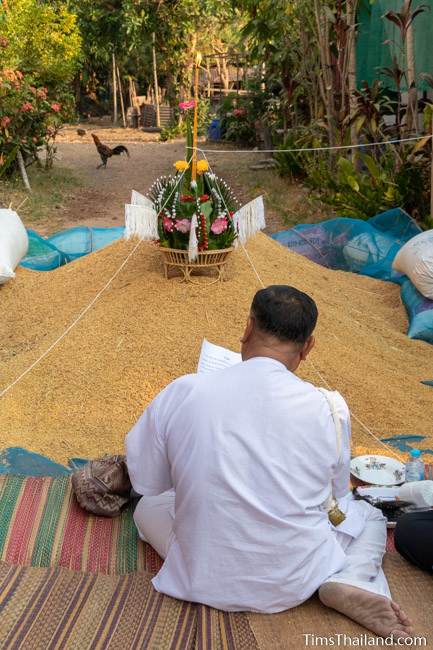 rice blessing ceremony with bai sii on top of rice pile at Boon Berk Bahn