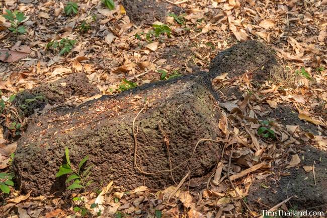 laterite block