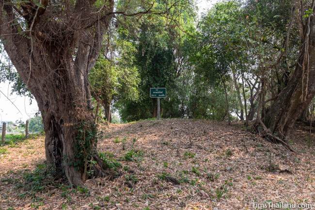 mound with trees around and sign on top