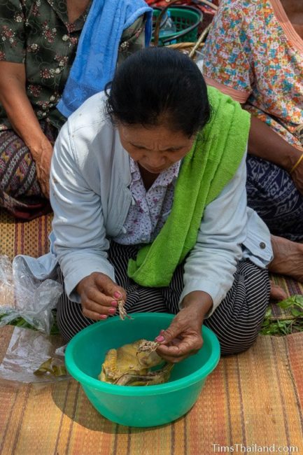 women pulling bone out of chiclen