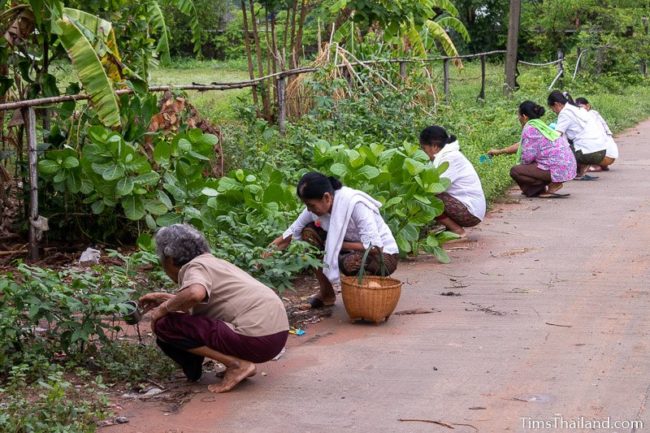 women pouring water on plants