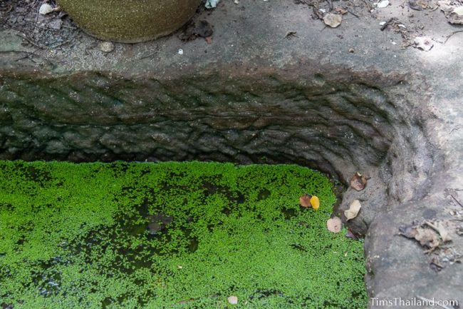 closeup of carving marks in algae covered quarry pond