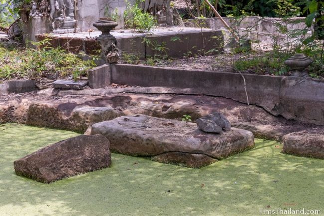 algae covered pond with cutting marks visible