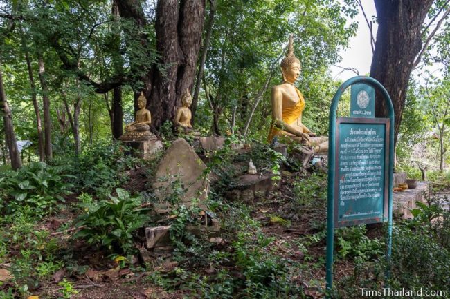 hill with Buddhas on top