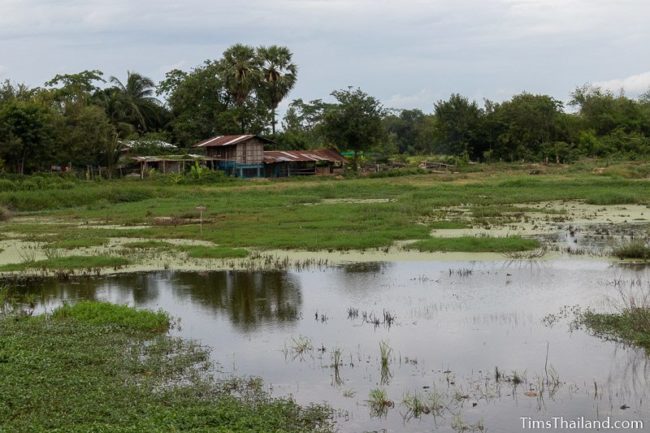 flooded field