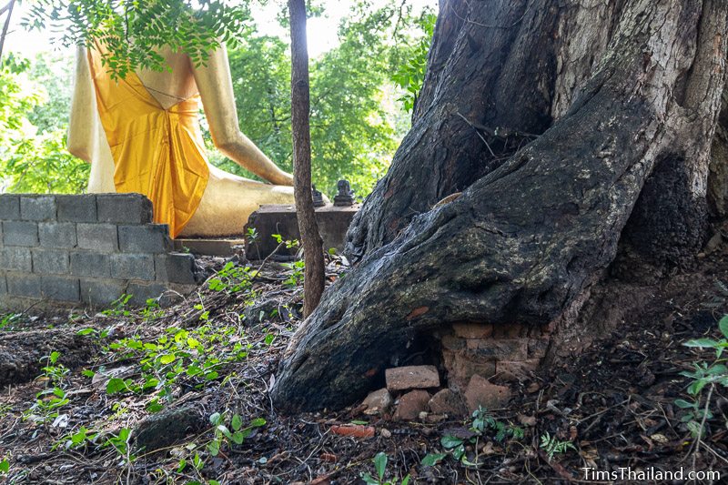 bricks under a tree