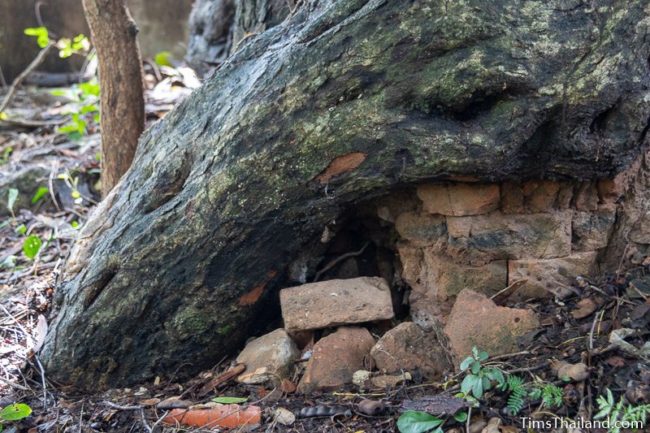 bricks under a tree