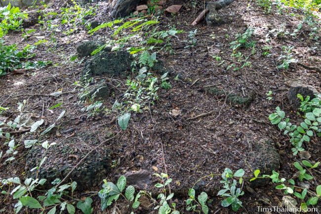 laterite blocks in the ground