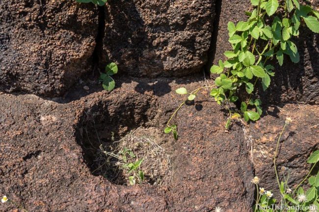 post hole in front of main sanctuary