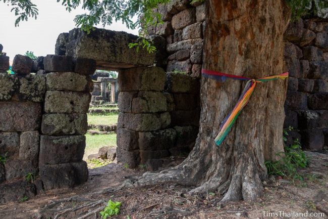 exterior view of side doorway in enclosure with tree next to it