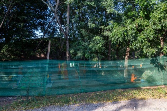 mesh wall abound tent area