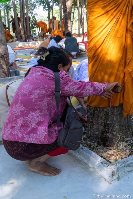 woman pouring water on a tree