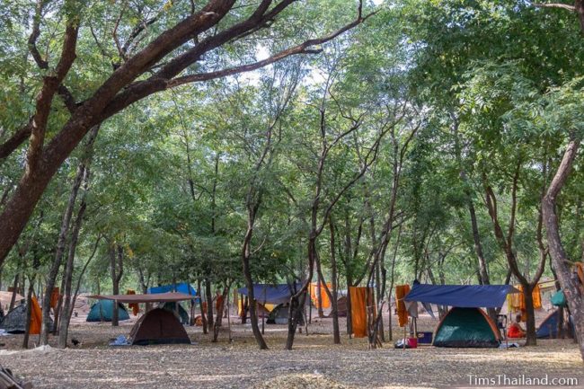 many tents