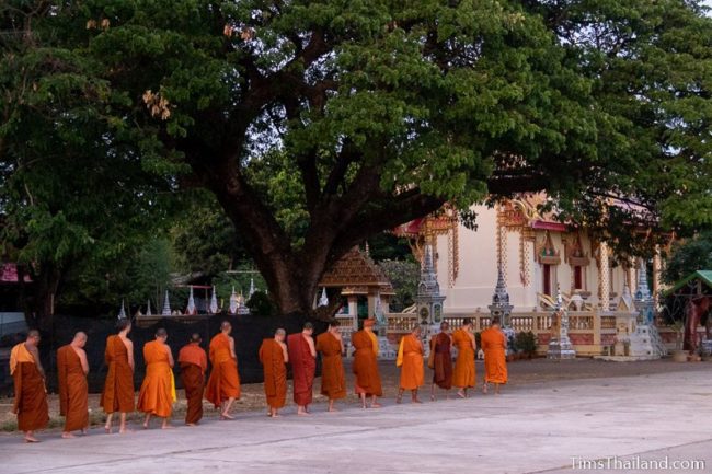 monks doing walking meditation