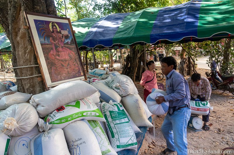 man putting sack of rice on the pile