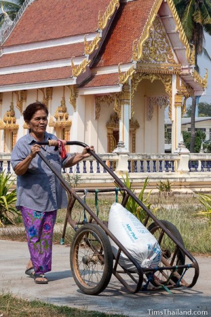 woman bringing rice to the temple in a push cart