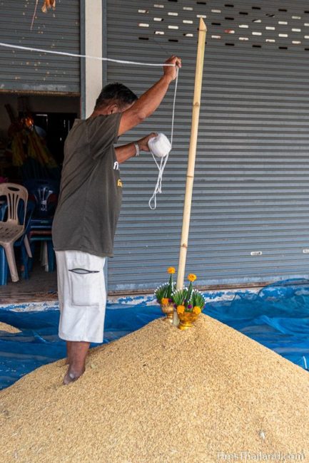 man hanging sai sin sacred thread on pole in rice pile