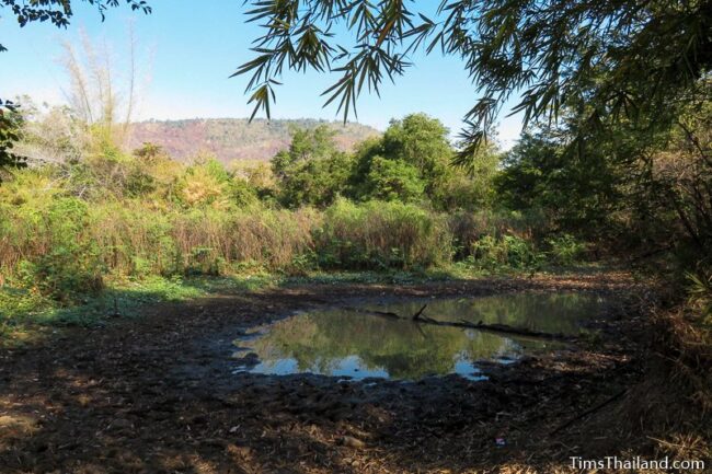 water at the edge of the old baray