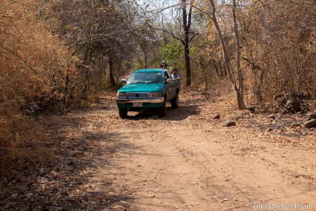 truck driving through the forest