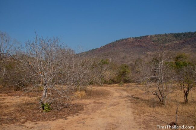 road leading toward a mountain