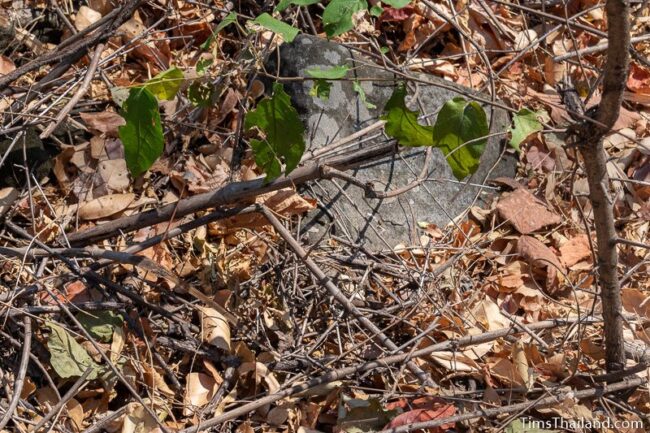 corner of lone sandstone block poking out of the dirt