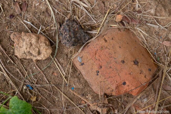 fragments of clay roof tiles