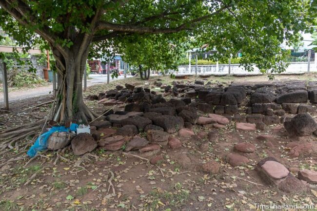 blocks laying around on the ground under a tree