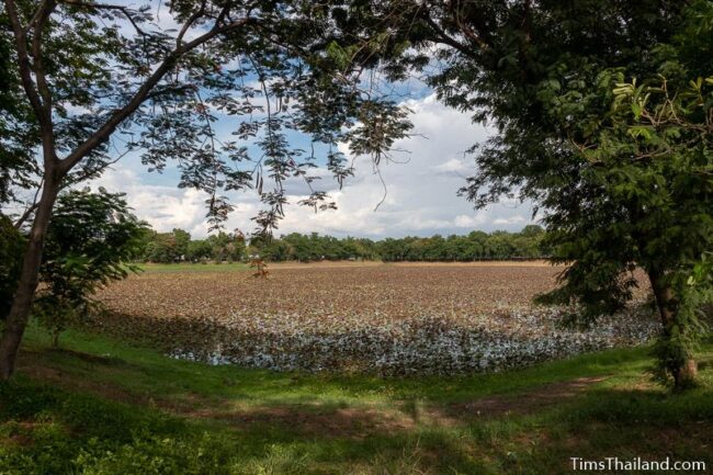 wide view of baray