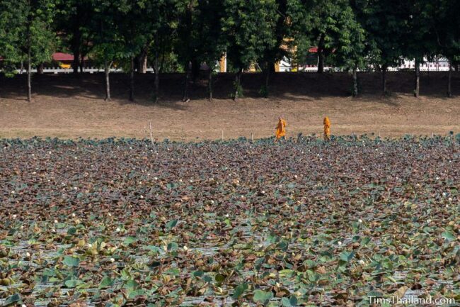 monks walking along the edge of the baray