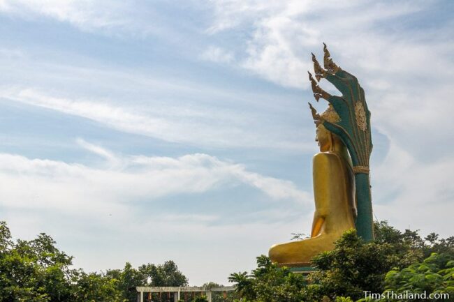 side view of big Buddha