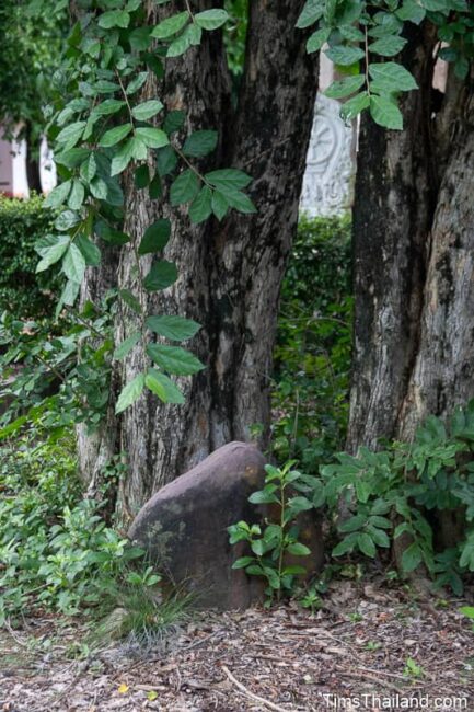 top of a bai sema boundary stone next to tree