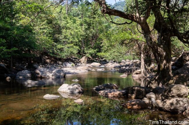 petit ruisseau rocheux