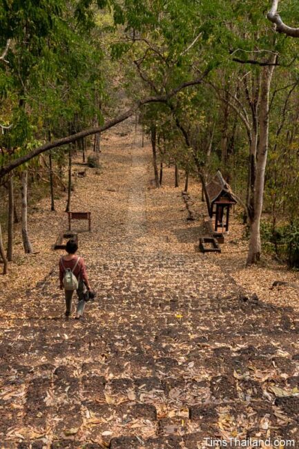 femme descendant des marches à travers une forêt