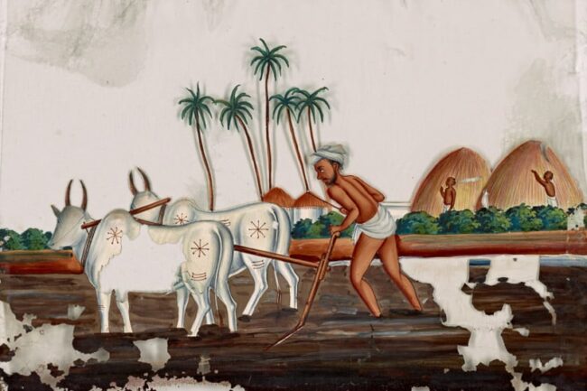 historic painting from India of man plowing field with two oxen