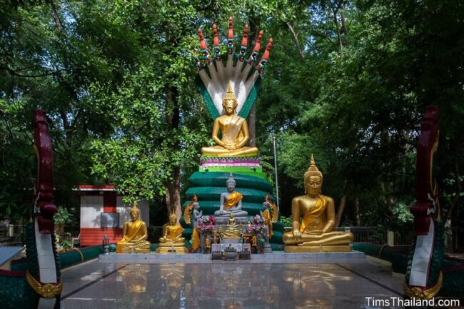 Buddha statues outdoors