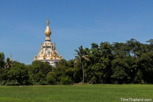 stupa at the back of a rice paddy